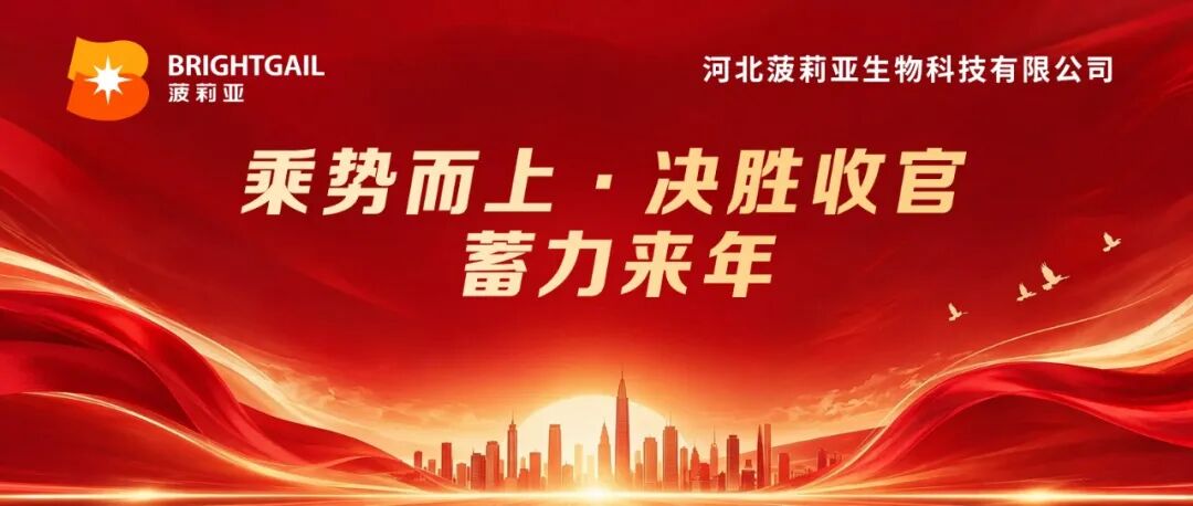《乘势而上·决胜收官丨菠莉亚公司四季度销售会议圆满召开,锚定目标,蓄力来年》